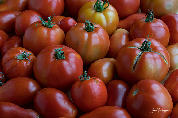 Fresh Red Ripe Garden Tomatoes