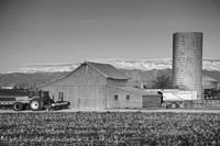 Colorado-Front-Range-Farming-BW