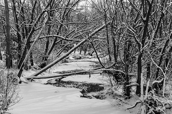 Snowy Colorado St Vrain River