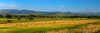 Agriculture and Farming