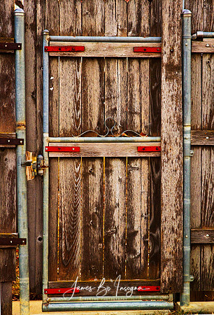 A rustic door in a wood fence.  Fine Art photography prints, canvas art and stock images by James Bo Insogna (C) 2011.