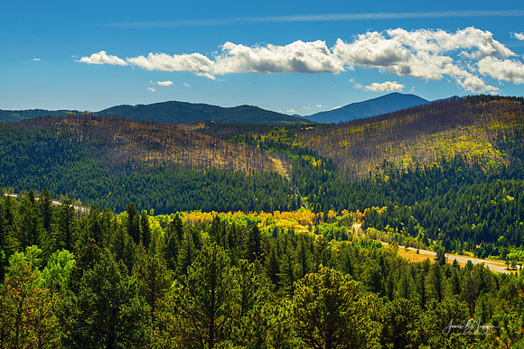 Cold Springs Wildfire Burn Scars