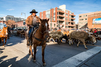 Cowboys and Longhorns In The City