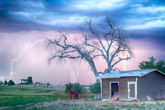 Country_Horses_Ryders_Storm-HDR