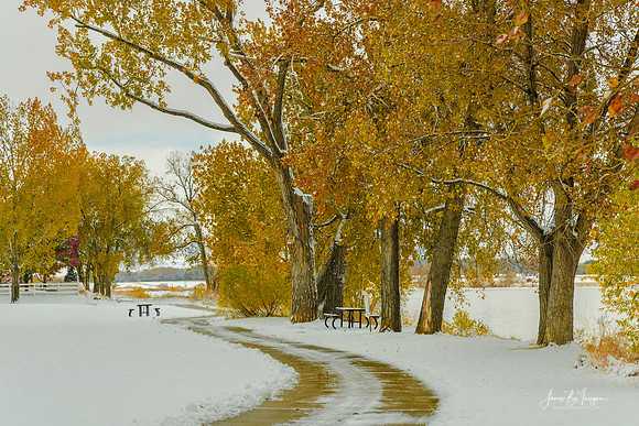 Snowy Autumn Day