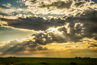 Sunshine Beams  Gold Raining Down