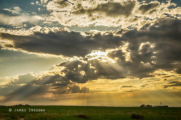 Sunshine Beams  Gold Raining Down