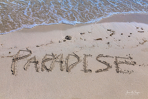 Paradise_In_The_Sand