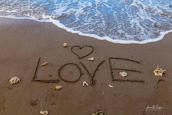 Ocean_Love