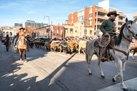 Cowboys in the City
