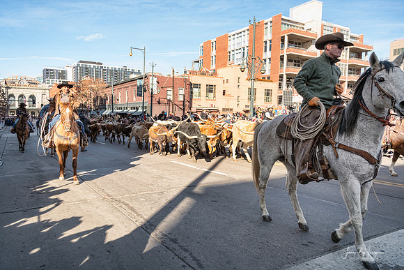 Cowboys in the City