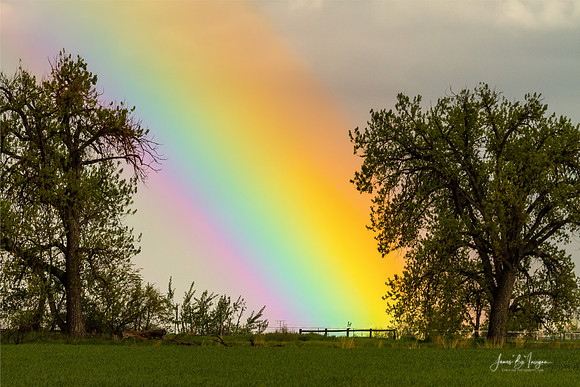 End Of The Rainbow Pot Of Gold