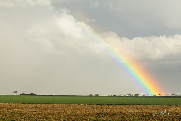 Just Another County Rainbow in The Sky 1