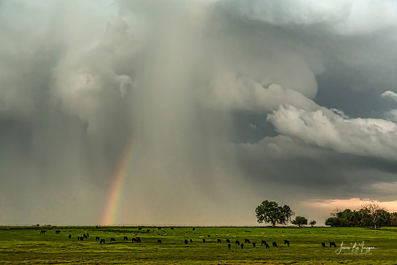 Stormin Rainbow