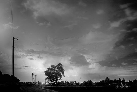 Lightning-Behind-Tree-bw