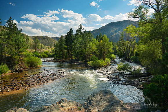 Cache la Poudre River Flowing Through the Colorado Mountains