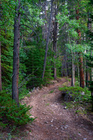 Colorado Nature Landscapes