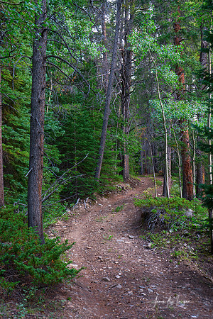 Into the Colorado Backcountry – Gilpin County Four Wheeling Road