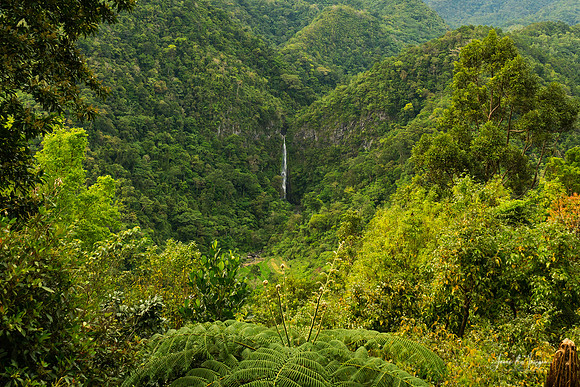 Emerald Veil of Negros