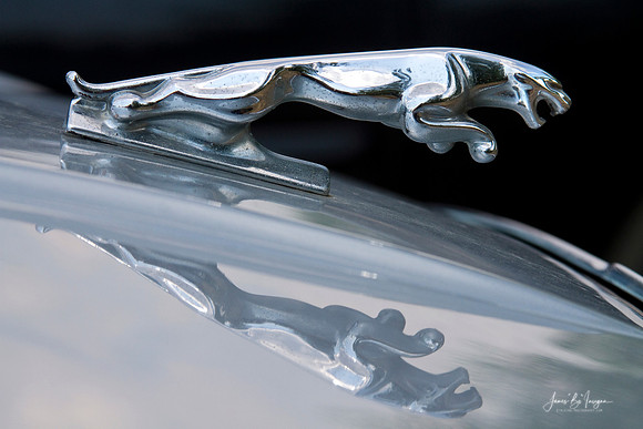 Silver Classic Jaguar sports car hood ornament close-up with reflection. Fine art photography prints, decorative canvas prints, acrylic prints, metal Print wall art  - Copyright: James Bo Insogna