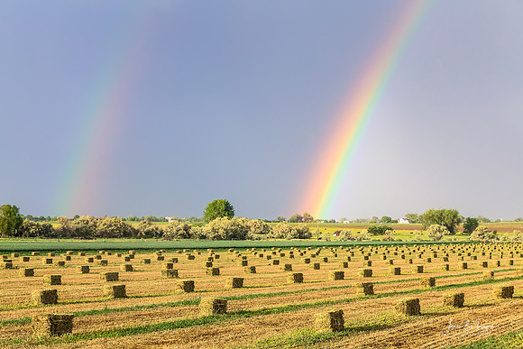 Just Another Country Rainbow