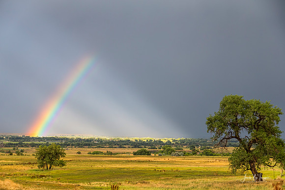 Beautiful_Contryside_Rainbow
