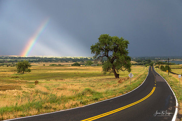 Rainbow_Road