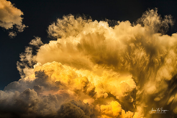 Golden_Thunderhead