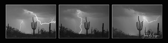 Southwest_Saguaro_Cactus_Desert_Storm_Panorama_BW