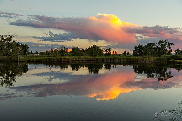 St Vrain State Park Mallard Pond Reflections