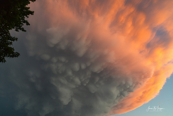 Mammatus Underbelly