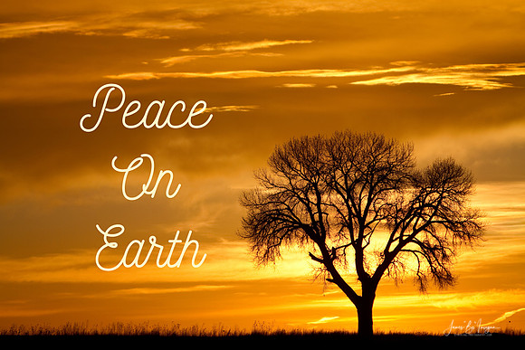 Peace On Earth