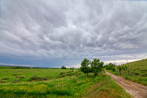 Rumbling Skies