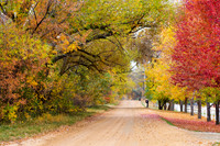 Autumn's Country Retreat - A Canopy of Color
