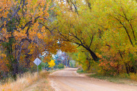 Autumn's Enchantment - The Country Road Canopy