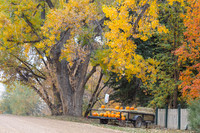 Autumn's Bounty - A Country Road Market