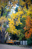 Autumn's Harvest Market - A Portrait of Country Charm