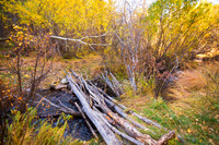 Rustic Log Bridge in Golden Autumn Forest – Serene Fall Creek Crossing