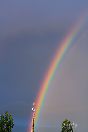 rainbow-network