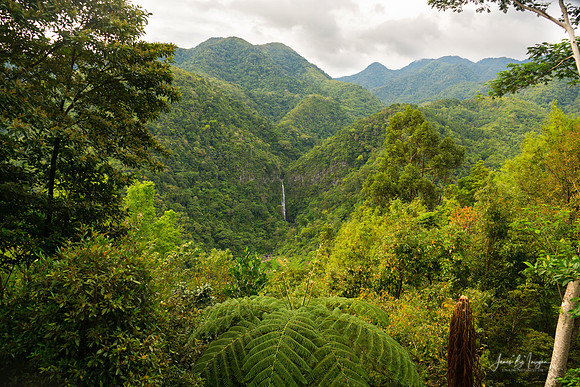 Whispers of the Malantan-og Waterfall Hidden in Time