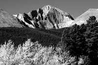 Longs_Peak_Autumn_Aspen_Landscape_View_BW