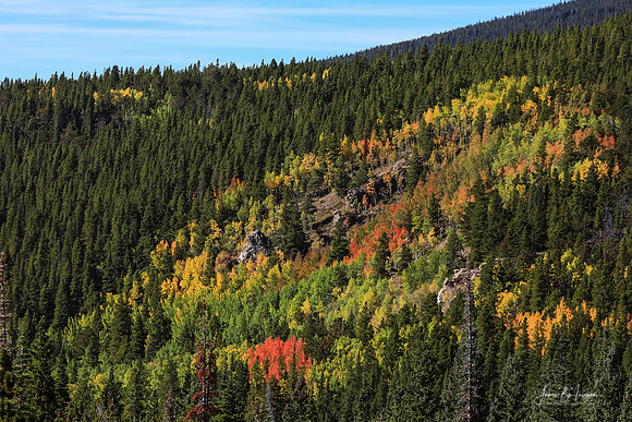 Hills Are Alive With Color