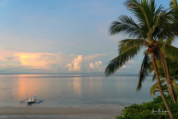Calm Peaceful Tropical Morning