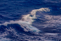Waves Gracefully Cresting