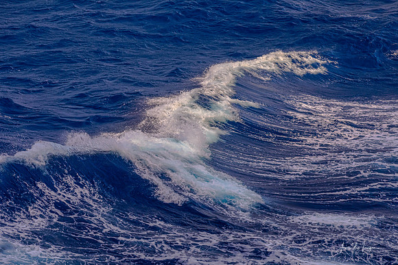 Waves Gracefully Cresting