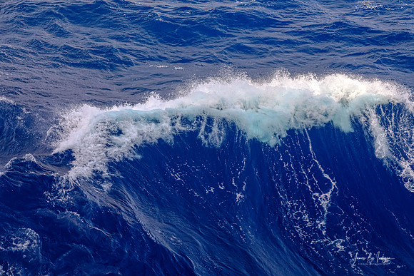 Serenity as the Ocean Waves Gracefully Crest