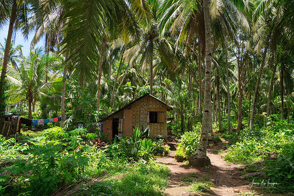 Bahay Kubo