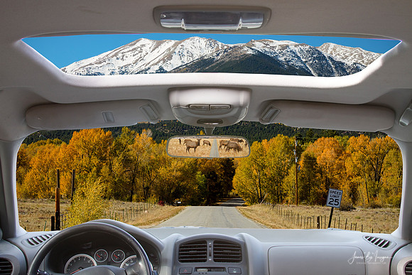 Buena_Vista_Colorado_Road_Trip