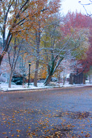 A small town street first snow of the Colorado Autumn Season and Autumn fall foliage turns to winter.