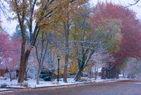 The First snow of the season early November with the fall foliage of color. Longmont, Colorado , Boulder County.